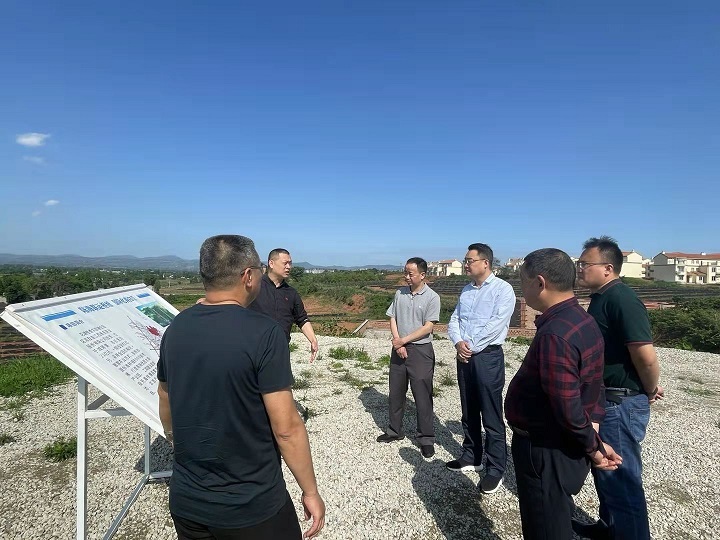 省威廉希尔中文网站集团：打造优质粮油制种基地