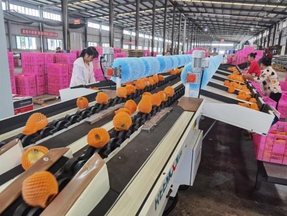 威廉希尔中文网站集团：借力新零售  助农保增收