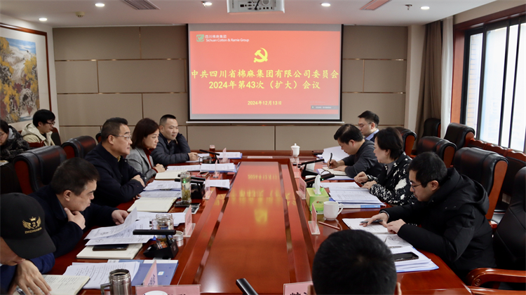集团公司召开2024年第43次党委（扩大）会议