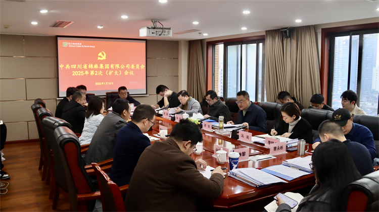 集团公司召开2025年第2次党委（扩大）会议