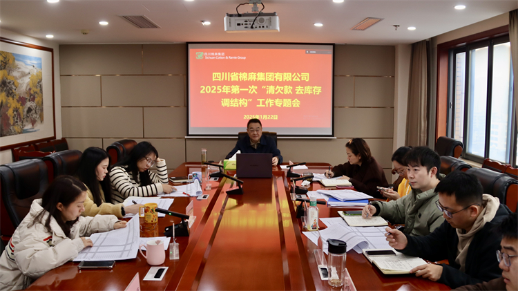 集团公司召开2025年第一次“清欠款、去库存、调结构”工作专题会