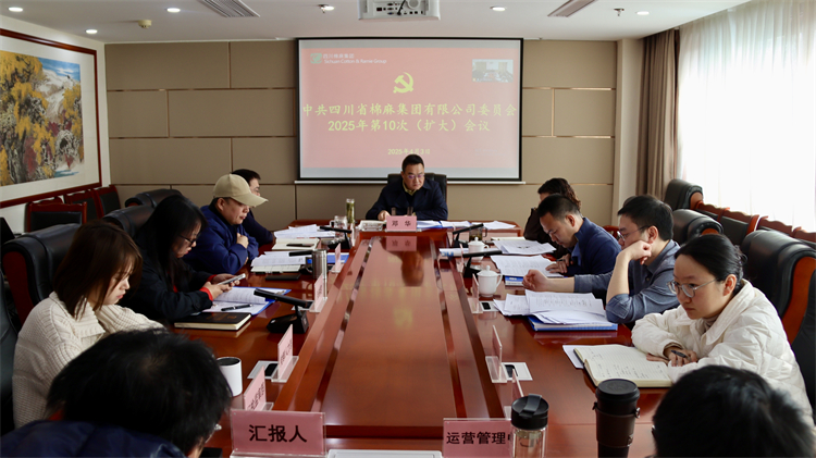 集团公司召开2025年第10次党委（扩大）会议