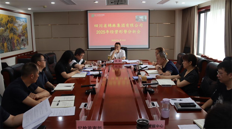 集团公司召开2025年经营形势分析会