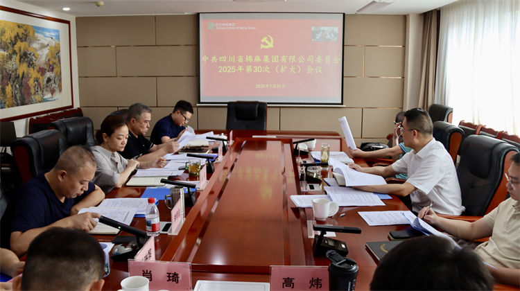 集团公司召开2025年第30次党委（扩大）会议