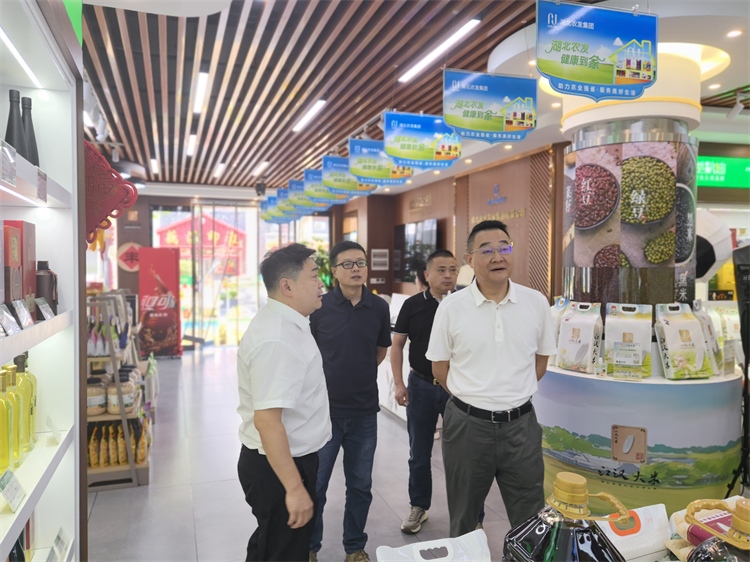 集团公司赴湖北农发销售集团考察交流